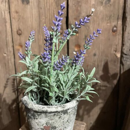 Potje kunst lavendel