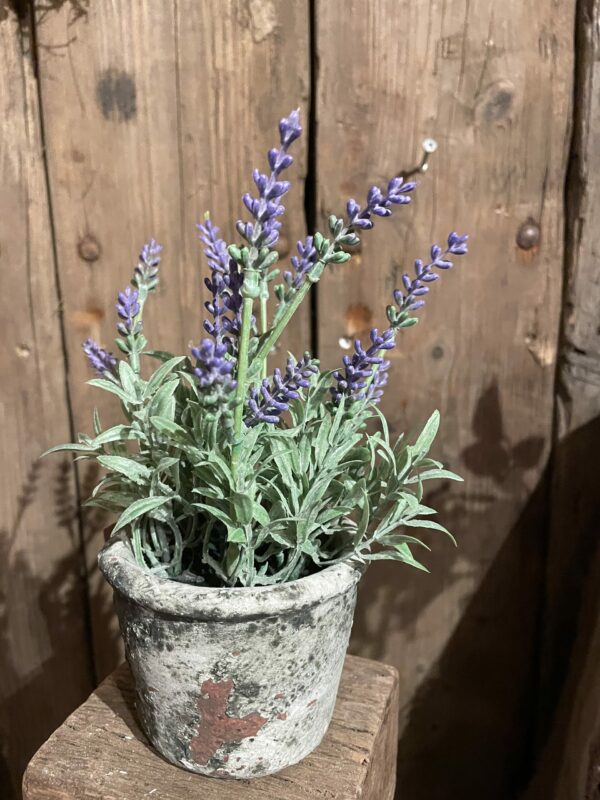 Potje kunst lavendel