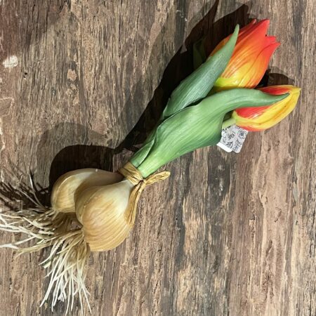 Tulp met knol geel oranje