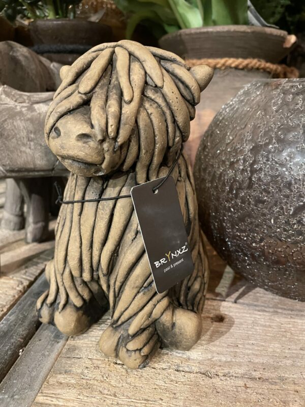 Hooglander bruin brynxz