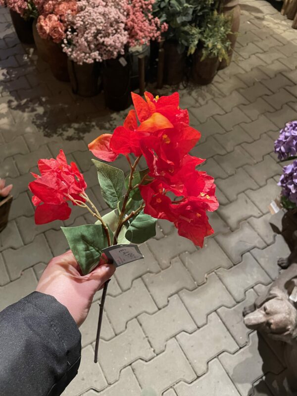 Bougainville kunst tak - Afbeelding 2