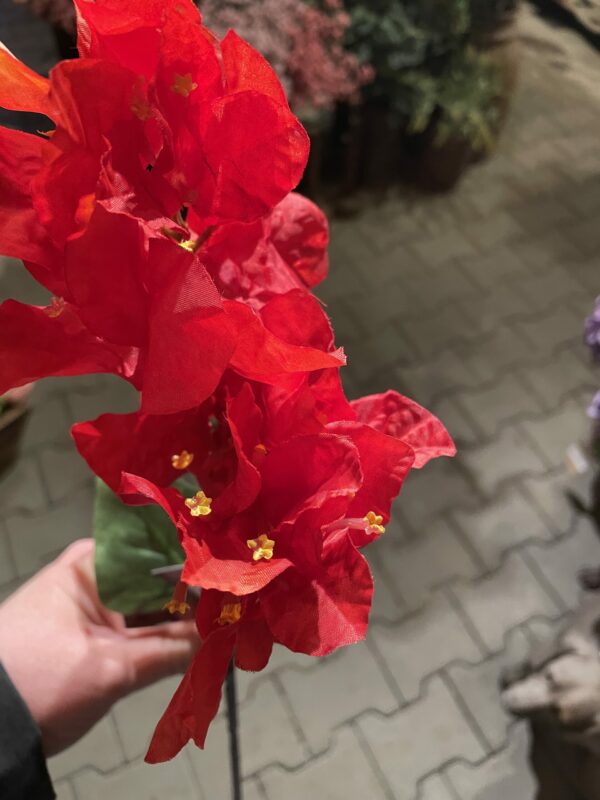 Bougainville kunst tak - Afbeelding 3