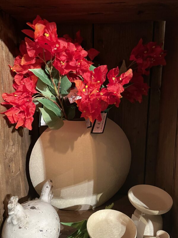 Bougainville kunst tak