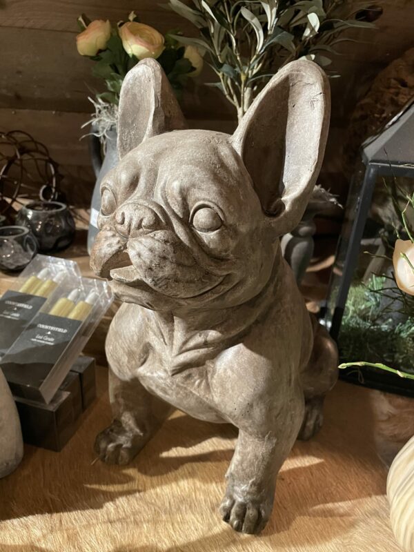 Bulldog