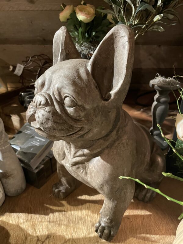 Bulldog - Afbeelding 2