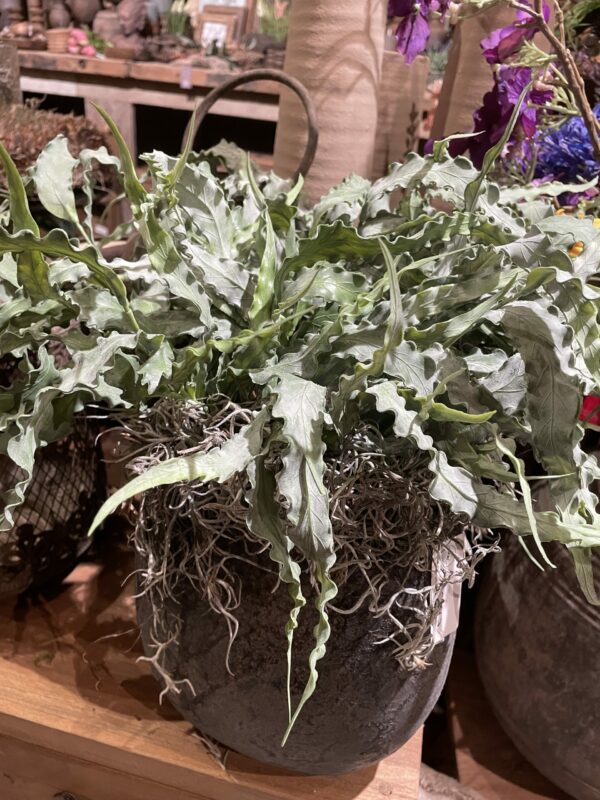 Kunst plant tak