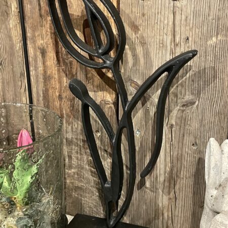 Ornament zwart tulp
