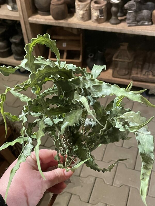 Kunst plant tak - Afbeelding 2