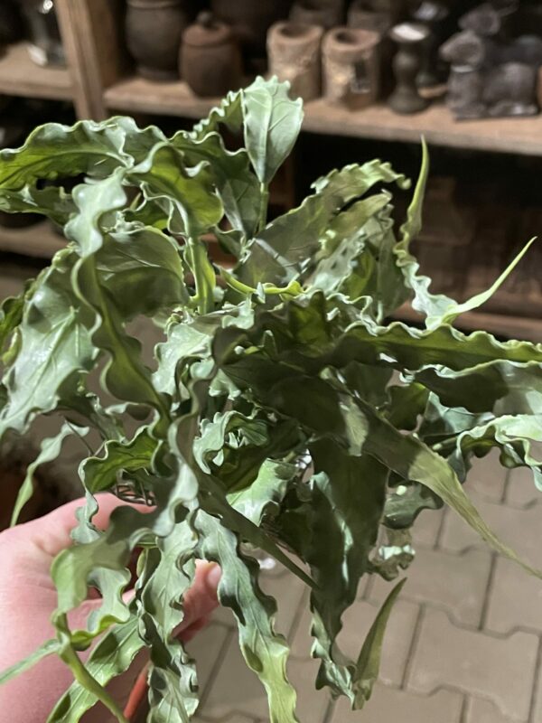 Kunst plant tak - Afbeelding 3