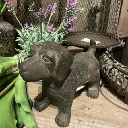 Beeld hond teckel
