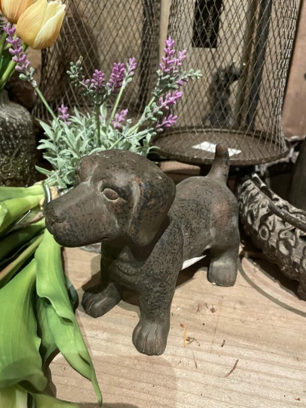Beeld hond teckel