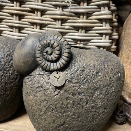 Schaap