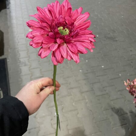 Kunst gerbera donker roze