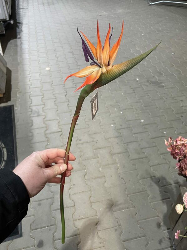 Kunst stralizia