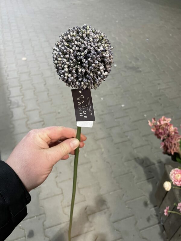 Kunst alium