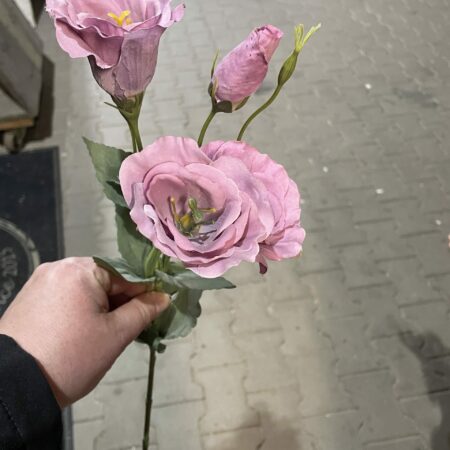 Kunst lysianthus