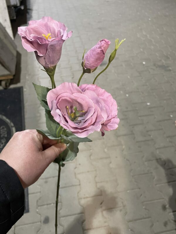 Kunst lysianthus