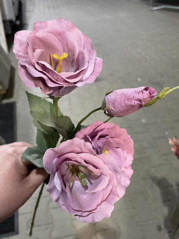 Kunst lysianthus - Afbeelding 2