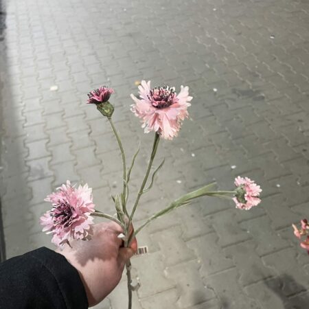 Kunst tak roze