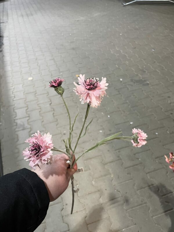 Kunst tak roze