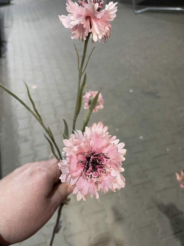 Kunst tak roze - Afbeelding 2