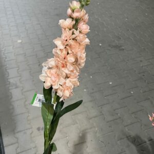 Kunst violier licht zalmroze