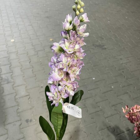 Kunst violier lila