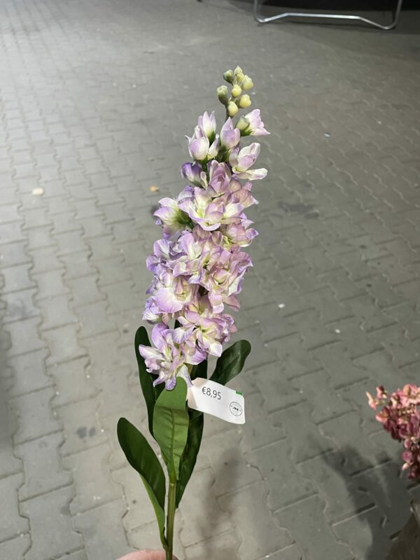 Kunst violier lila