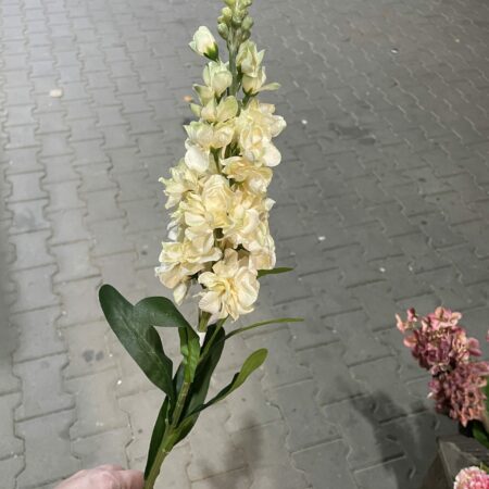 Kunst violier creme