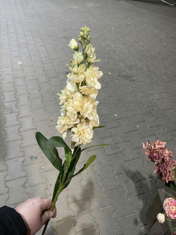 Kunst violier creme