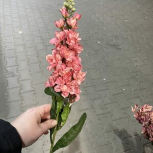 Kunst violier roze