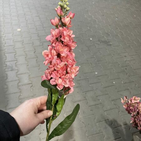 Kunst violier roze