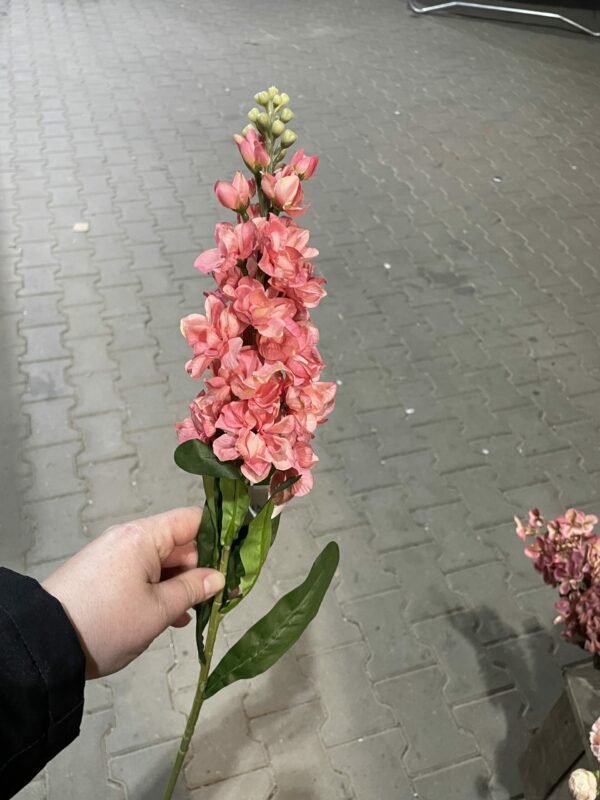 Kunst violier roze