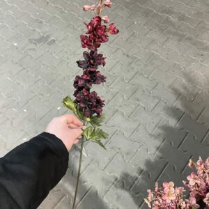 Kunst delphinium