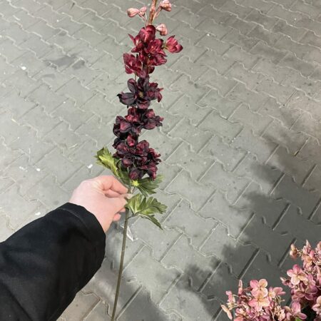 Kunst delphinium