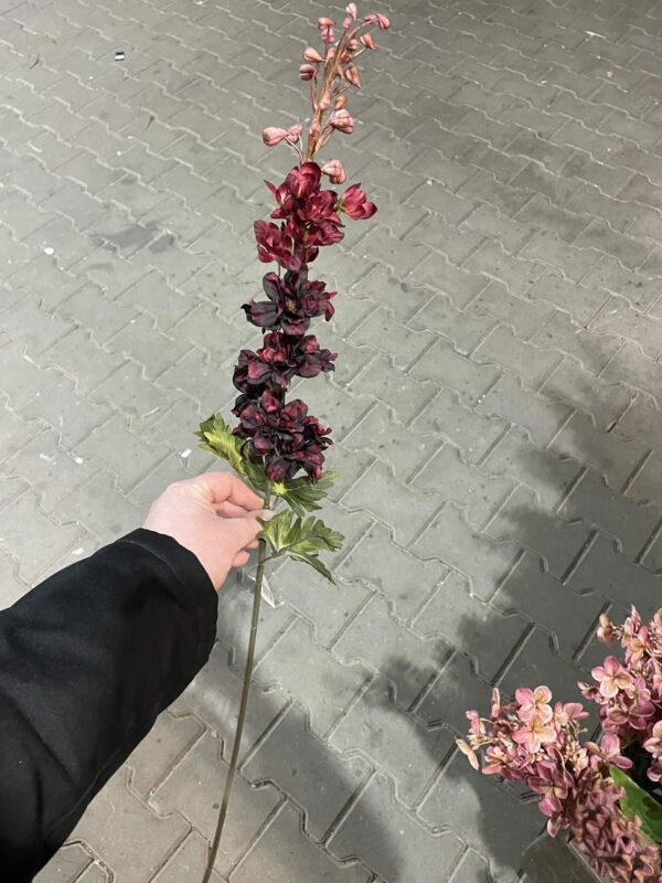 Kunst delphinium