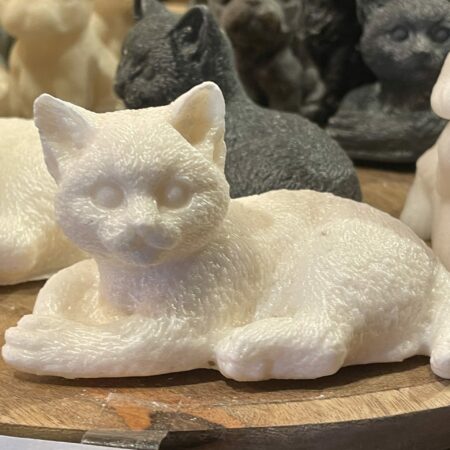 Geur poes