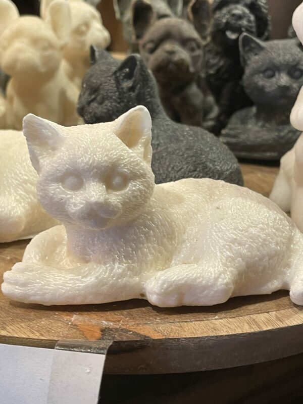 Geur poes