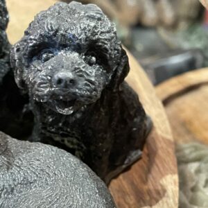Geur labradoodle