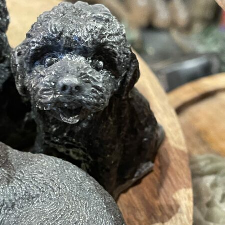 Geur labradoodle