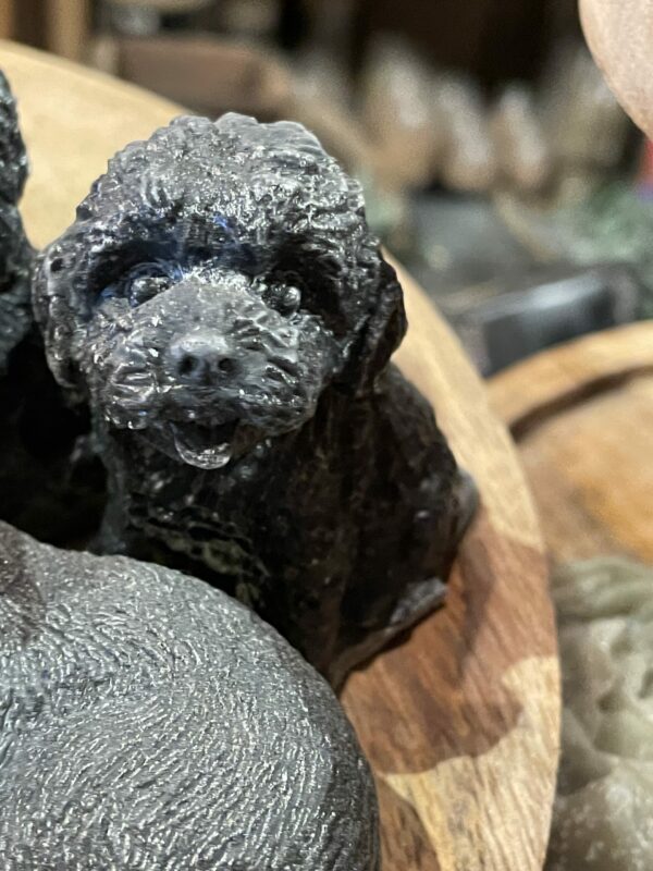 Geur labradoodle