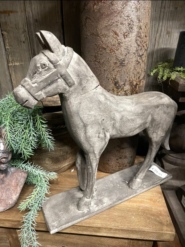 Paard