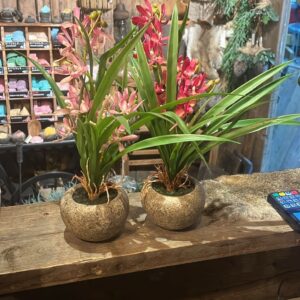 Kunst orchidee licht roze