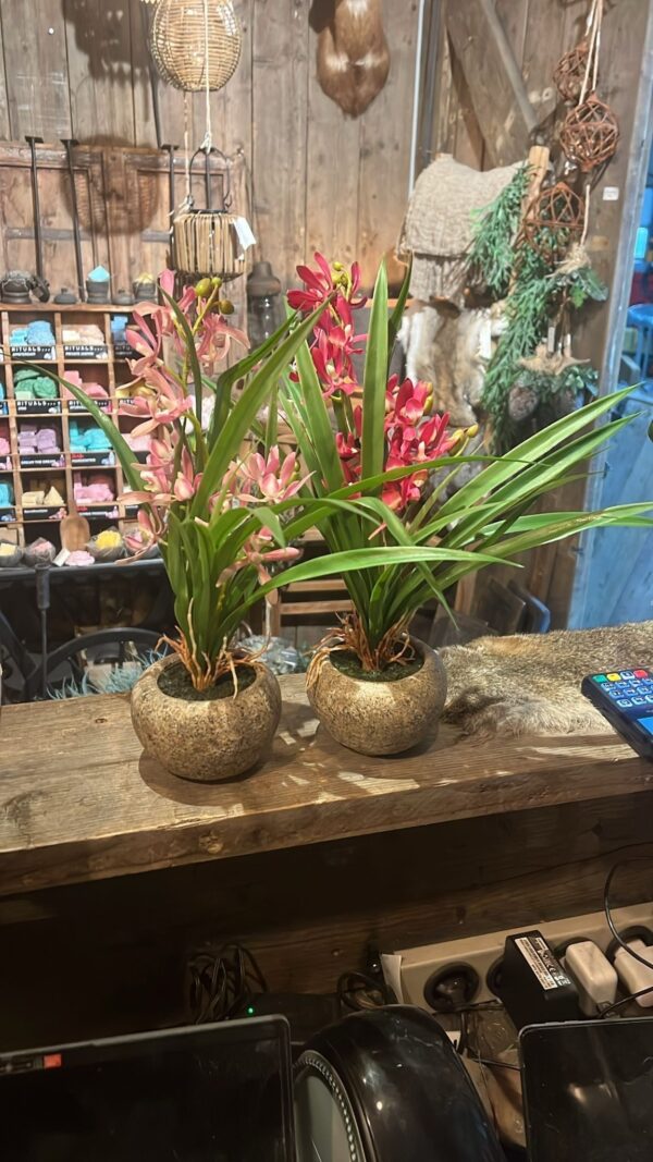 Kunst orchidee licht roze