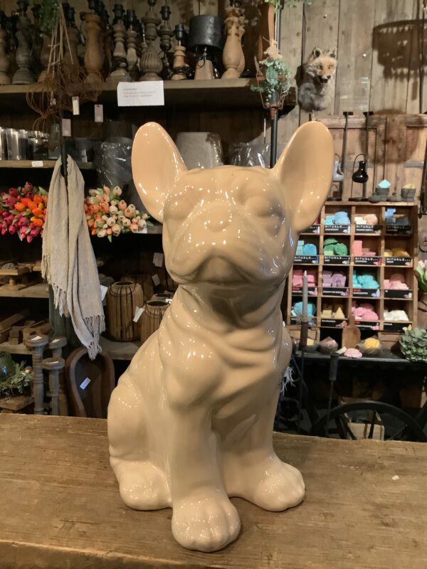 Bulldog offwhite parelmoer