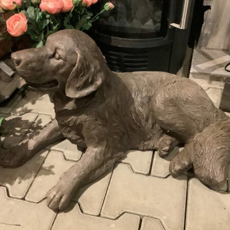 Labrador beeld