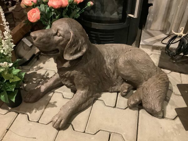 Labrador beeld