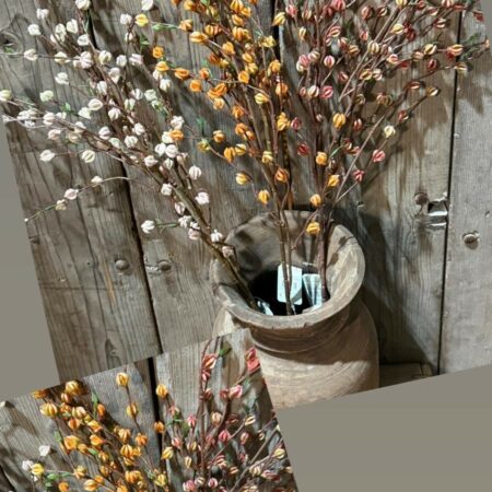Waxflower herfst tinten brynxz