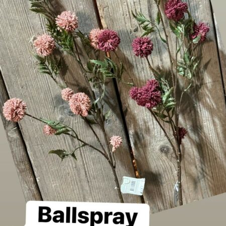 Ballspray brynxz