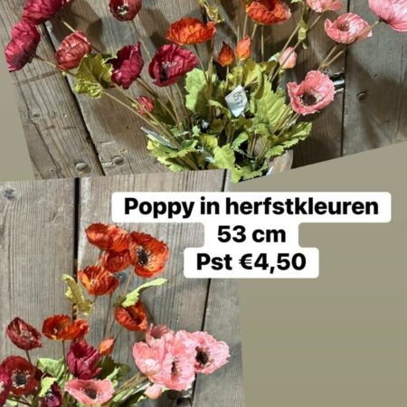 Poppy herfstkleuren 53 cm brynxz